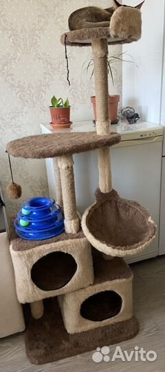 Домик для кошки с когтеточкой