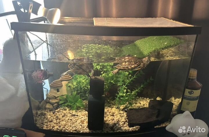 Аквариум 70 литров