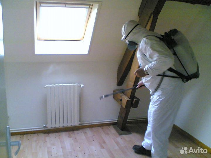 Дезинсекция - клопы, тараканы, клещи, грызуны