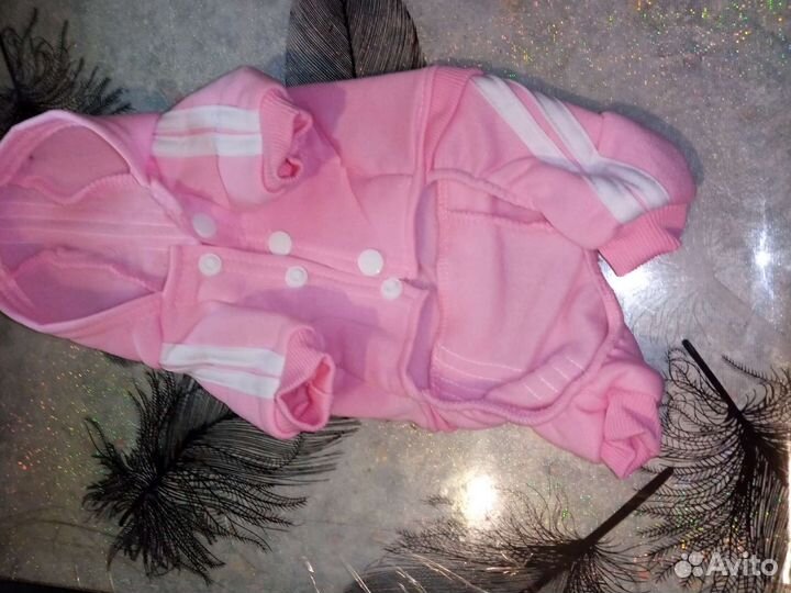 Костюмчик для маленькой собачки, котику