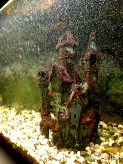 Аквариум с рыбками бу