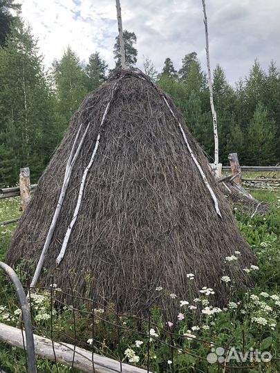 Продам сено