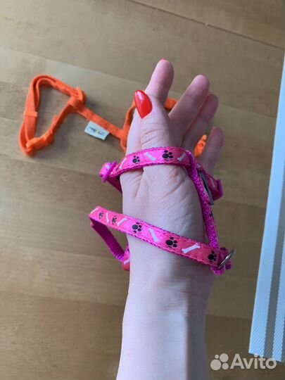 Шлейка для маленькой собаки