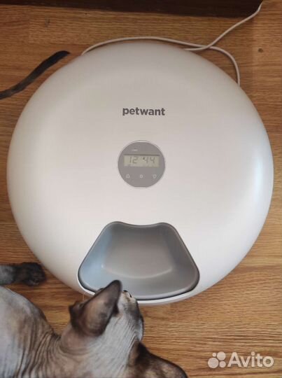 Автокормушка для кошек и собак