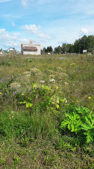 Участок 26 сот. (ИЖС)