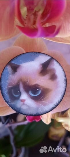 Деревянные изделия