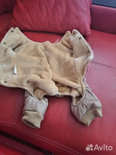 Одежда для собак мелких пород