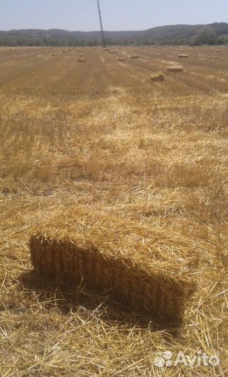 Сено,солома
