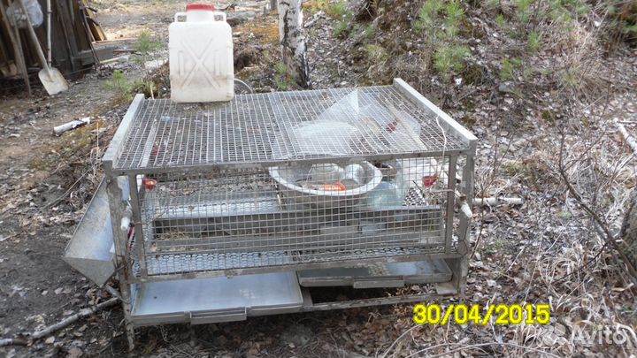 Клетка для цыплят бройлеров, кур