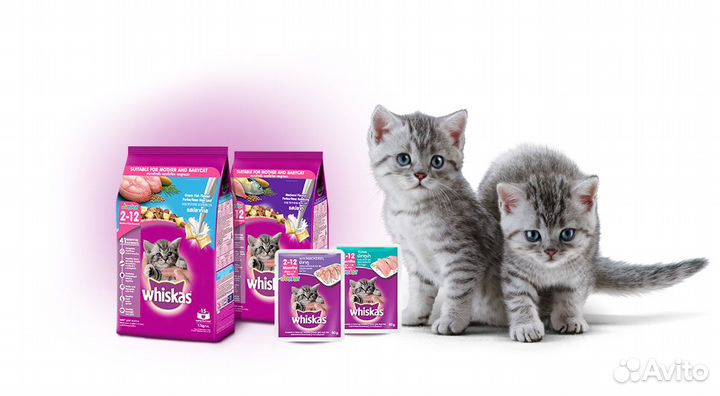 Работа без опыта/Фасовка/Еженедельные выплаты