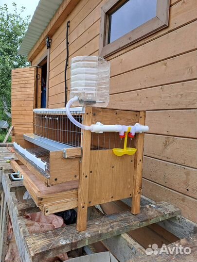 Клетка на 10-15 перепелов