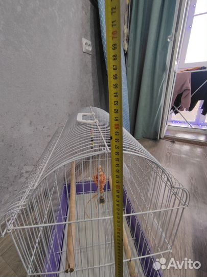 Клетка для попугая