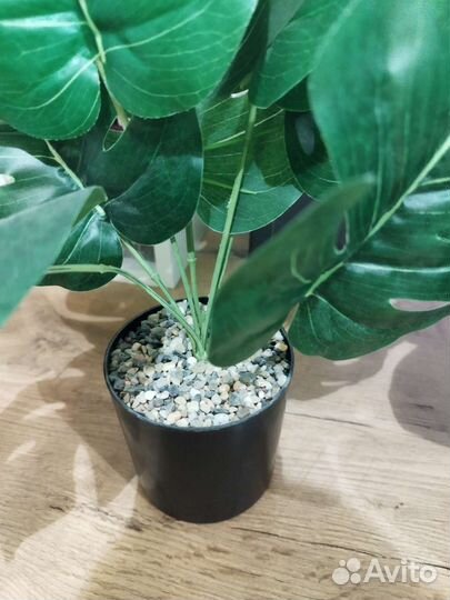 Искусственные цветы/растения