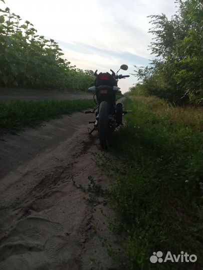 Продам матацыкл патрон бандит