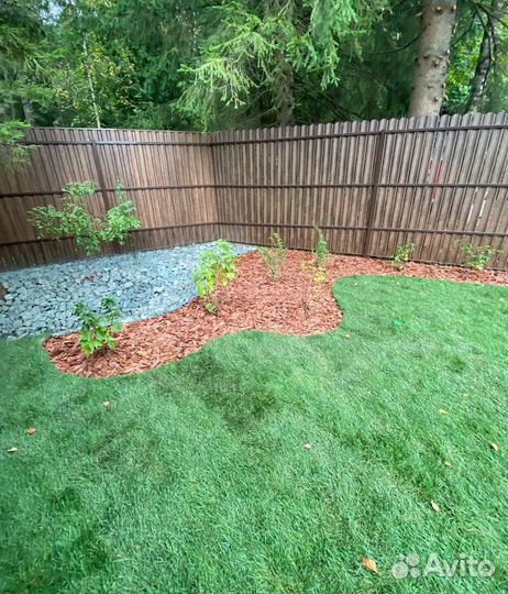 Рулонный газон