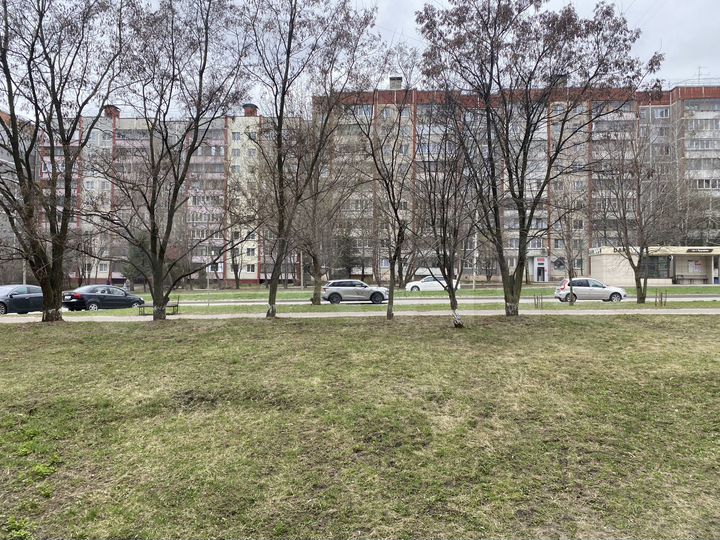 Свободного назначения, 44.8 м²