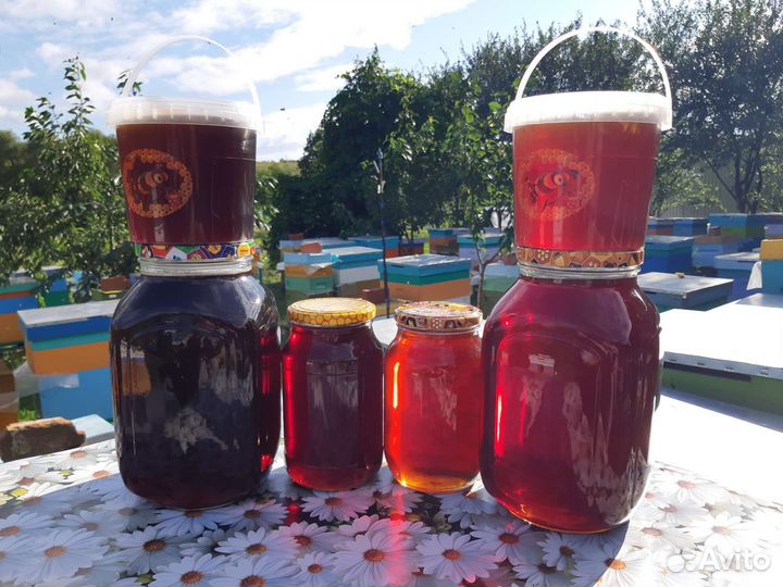 Мёд с семейной пасеки