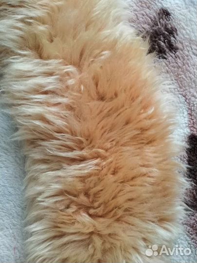 Воротник на пальто