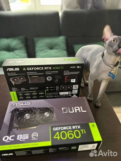 Видеокарта asus GeForce RTX 4060 Ti dual OC
