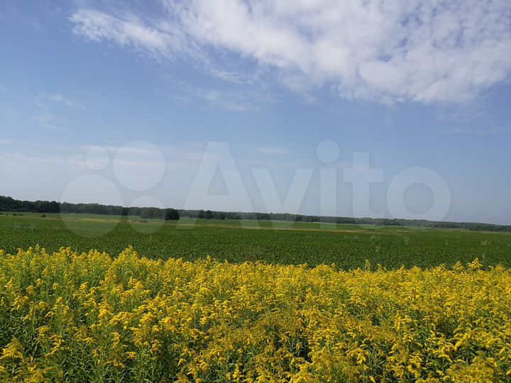 Участок 46 сот. (ИЖС)