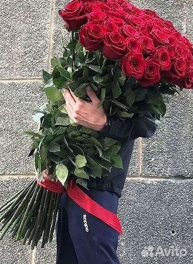 Розы Высокие 150см 160см 170см 180см 190см 2м