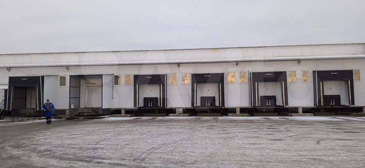 Аренда холодильно-морозильных камер, 1750 м²