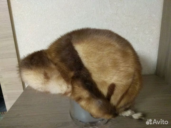 Шапка женская