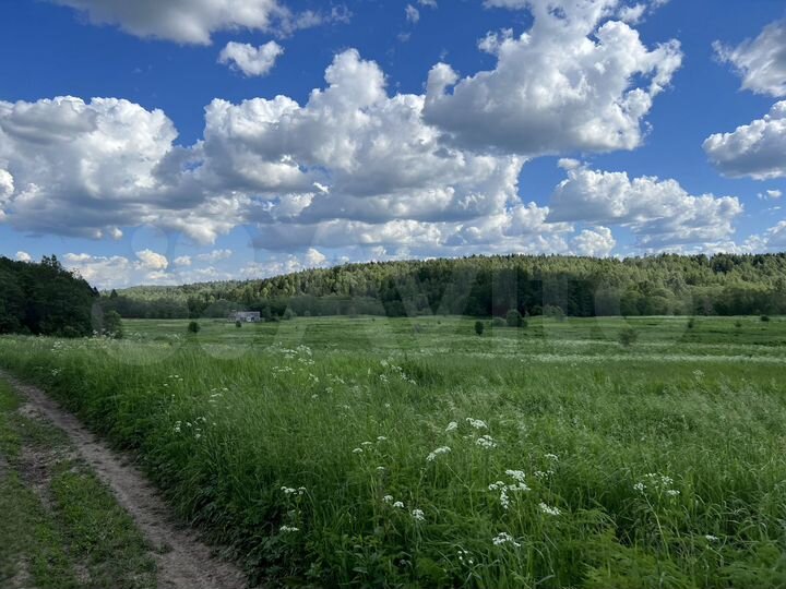 Участок 11 га (СНТ, ДНП)