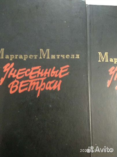 Унесённые ветром