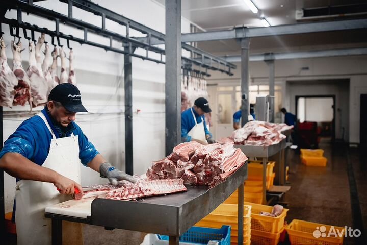 Разнорабочие 2200 на мясокомбинат вахта в Воронеже