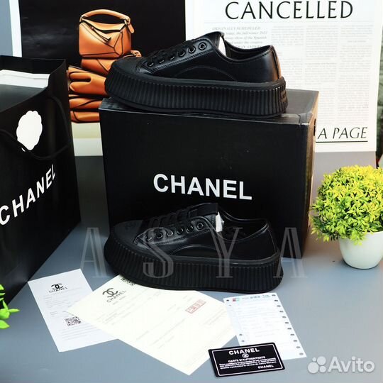 Новый женский кеды chanel / качество premium