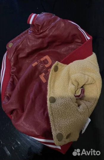 Одежда для собак мелких пород пакетом