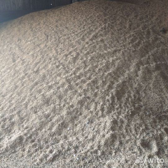 Зерно пшеница ячмень