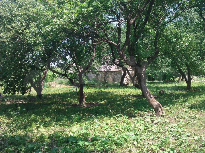 Дом 25 м² на участке 50 сот.