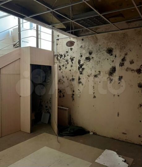 Нежилое помещение, 203.8 м²