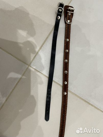 Ошейник для собак/шлейка