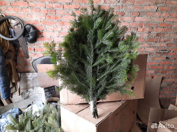 Продам веники для бани