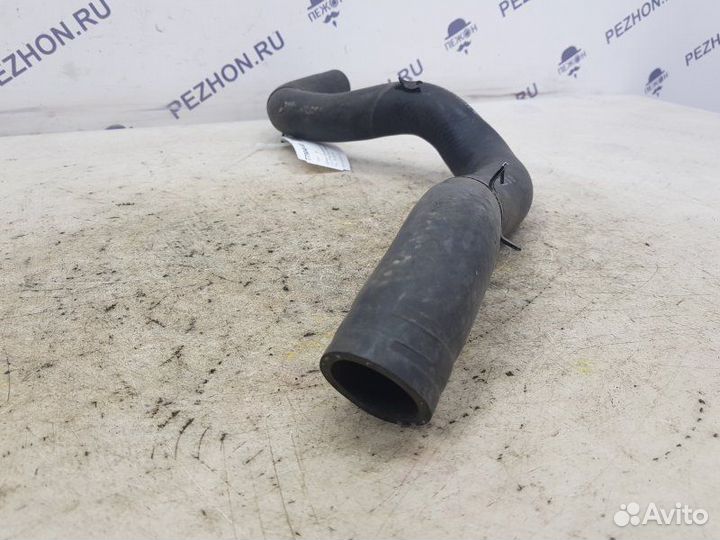 Шланг радиатора нижний Kia Sportage