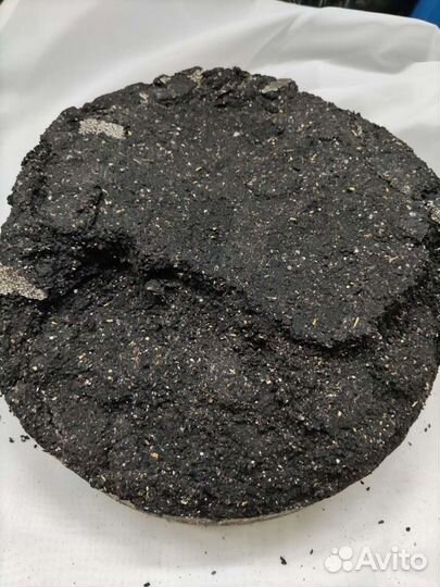 Масло черного тмина