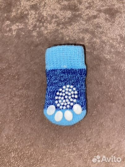 Носки и ботинки,обувь для животных