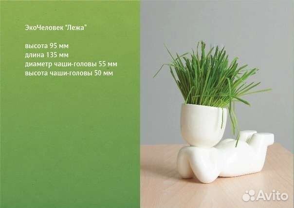 Экочеловечки