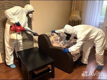 Дезинфектор