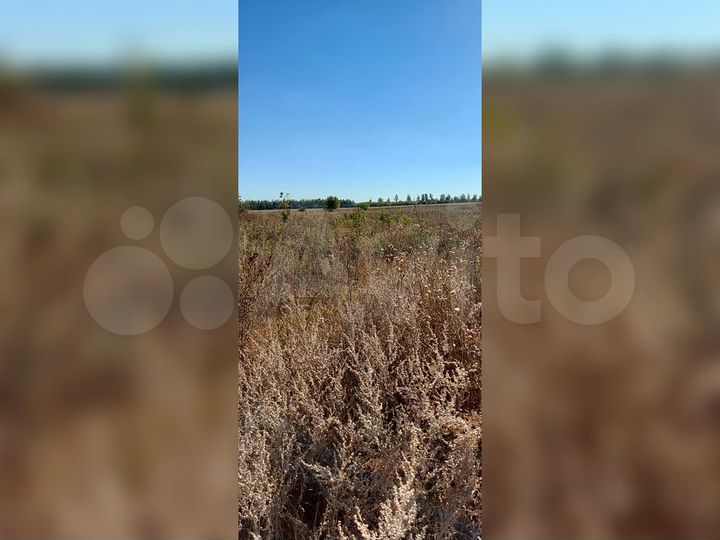 Участок 15,5 сот. (ИЖС)