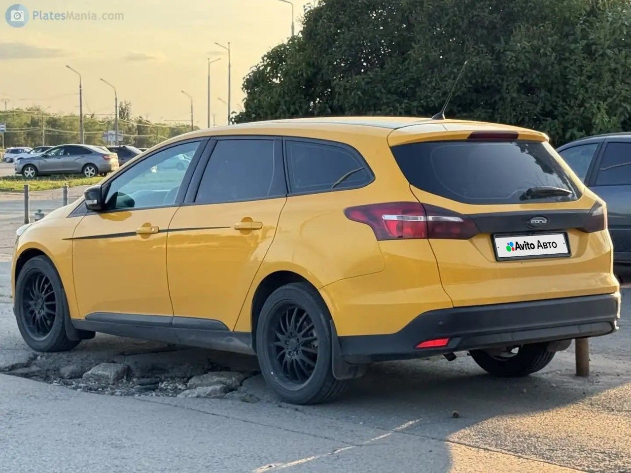 Ford Focus: фото владельца
