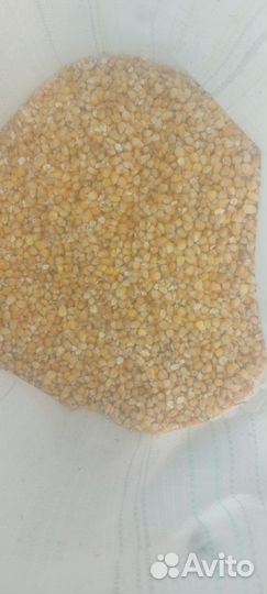 Комбикорм, пшеница, кукуруза для кур несушек