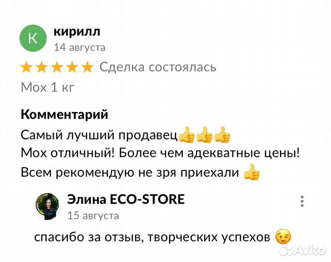 Круги со стабилизированным мхом композиция