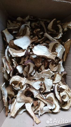 Грибы белый сушеный
