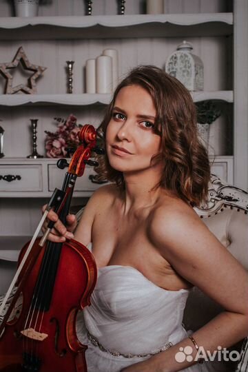 Скрипка на праздник