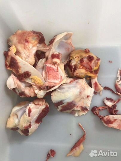 Обрезь говяжья, жилы, хрящи (говядина)