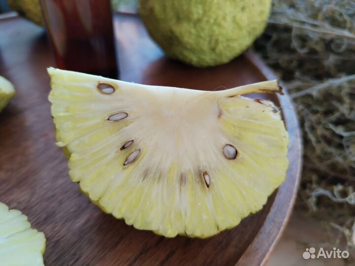 Мазь от экземы